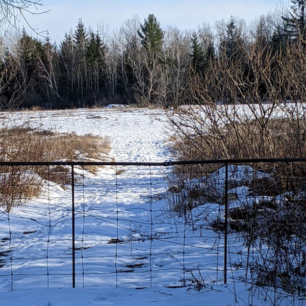 Lsek19 05s | property photo | ontario tax sales